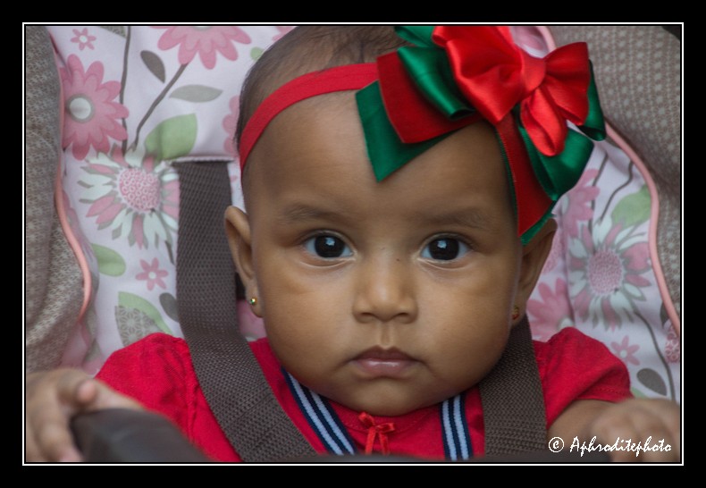 Columbia portraits 55